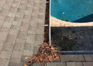 Debris in gutters from Jacksonville FL Home Inspectors