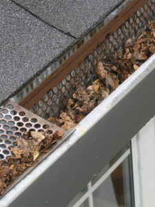 gutters clogged with leaves home inspectors jacksonville fl