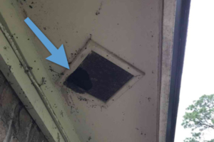 torn soffit screen found during a jacksonville, fl home inspection