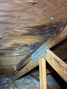Damaged roof sheathing from attic home inspection jacksonville fl