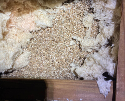 vermiculite insulation home inspectors jacksonville fl