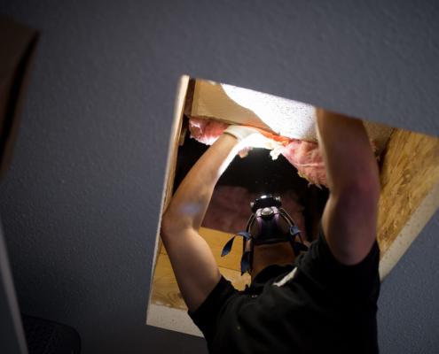 Home inspector inspecting the attic home inspections jacksonville fl