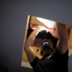 Home inspector inspecting the attic home inspections jacksonville fl